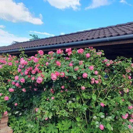 Spacious Quiet Near Villa *